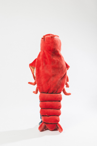 Lobster Rug/Disguise