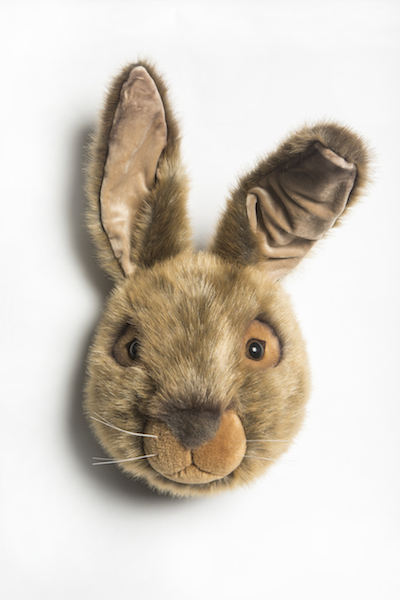 Lewis the Hare
