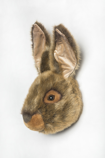 1561388609ws_0053_hare_lewis_r