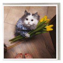 tulip