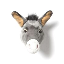 WS 0008 Donkey Francis copy