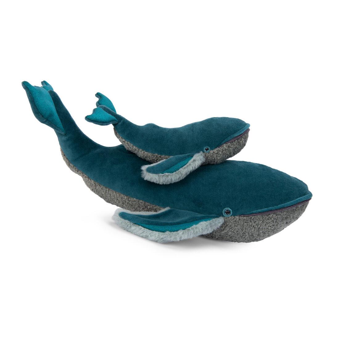 Humpback Whale