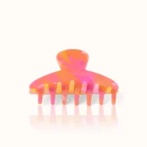 sorbet
