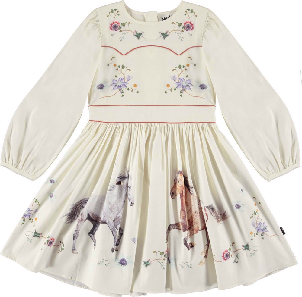 Cibbe Dress/Prairie Dreams