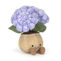A2HYD-Amuseable-Hydrangea-4
