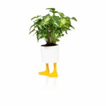 duck-feet-planter-large-6