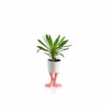 flamingo-feet-planter-small-5
