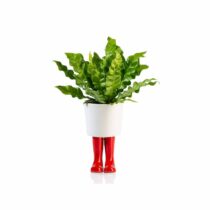 wellington-boot-planter-small-red