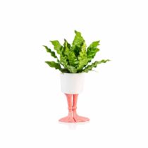flamingo-feet-planter-large-5
