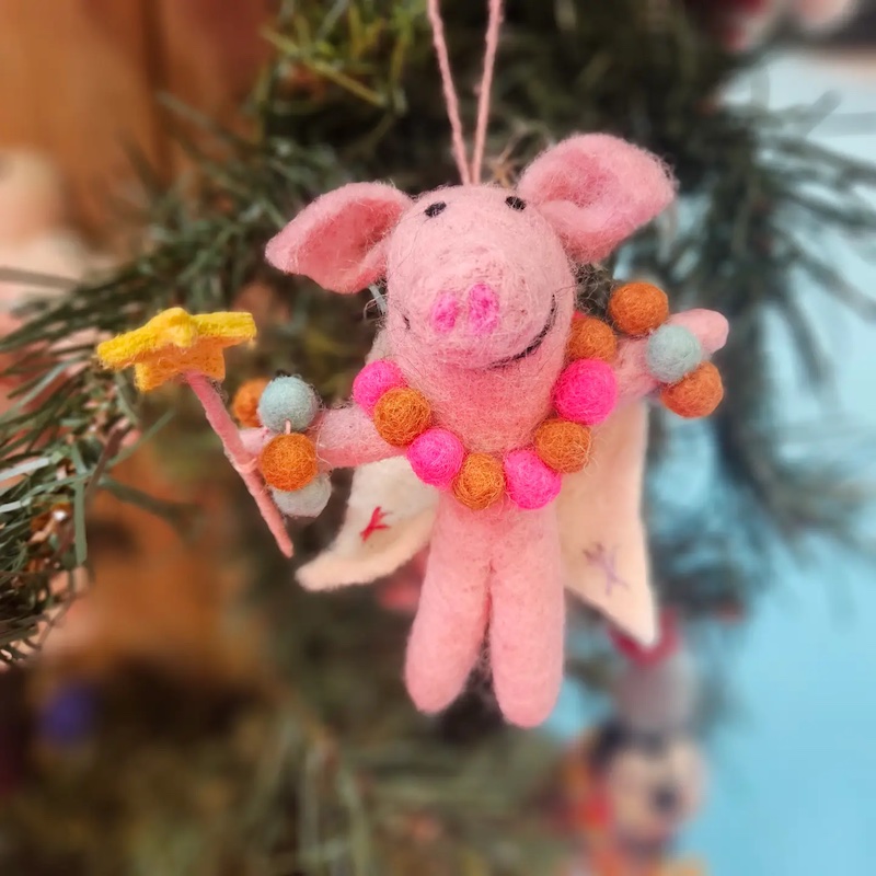 pig s copy