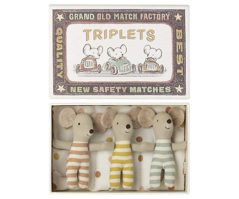 Triplets, Baby Mice in Matchbox